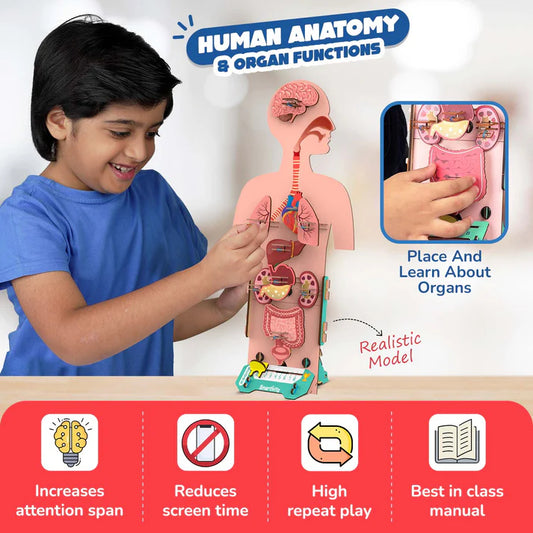 Smartivity Human Body | 6-10 Years | DIY STEM Construction Toy