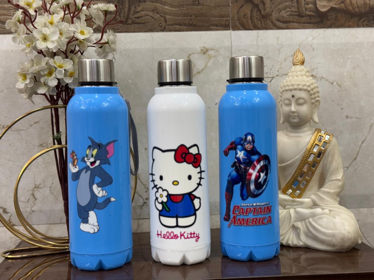 Insulated Stainless Steel Character Water Bottle for Kids 750 ml
