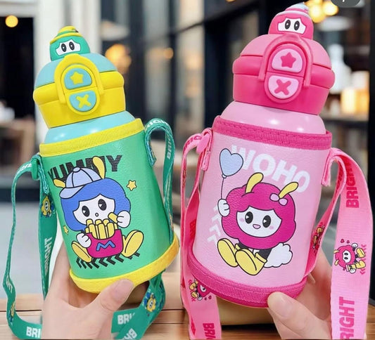 Stainless Steel Insulated Bottles