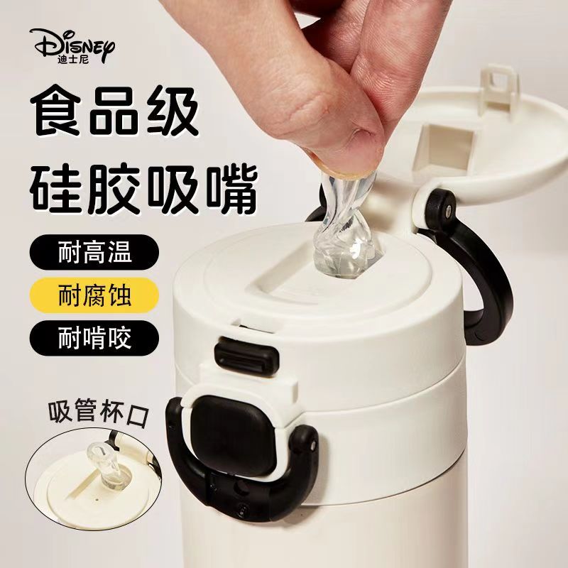 Disney Theme Insulation Cup Thermos Bottle