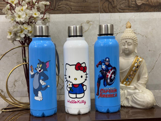 Insulated Stainless Steel Character Water Bottle for Kids 750 ml