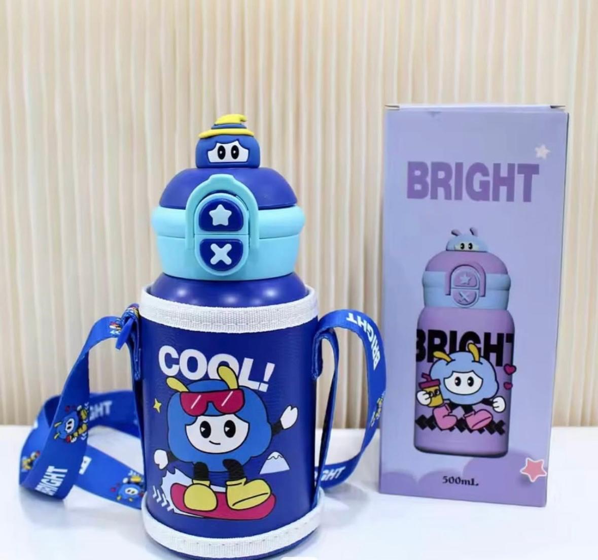 Stainless Steel Insulated Bottles