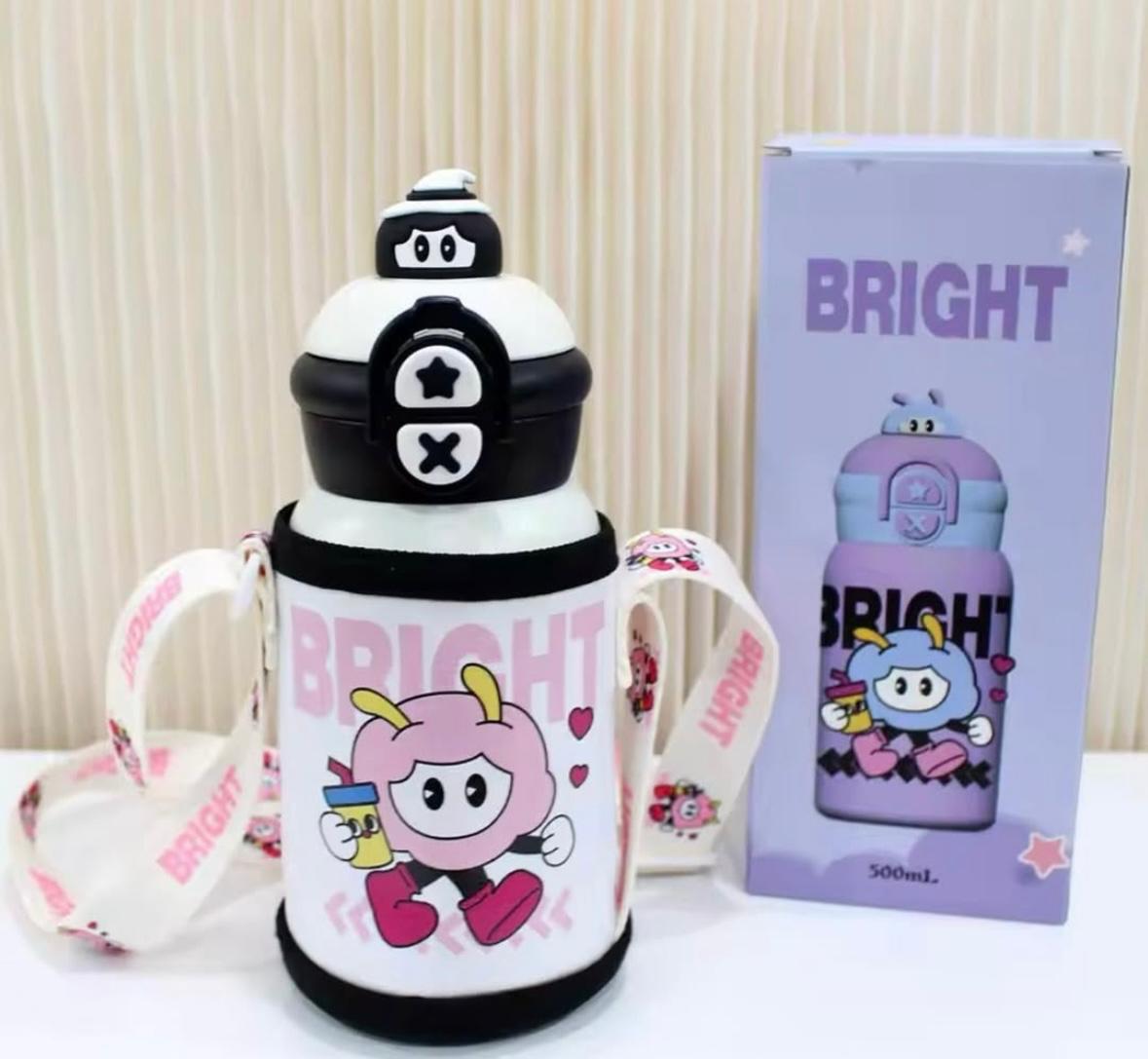 Stainless Steel Insulated Bottles